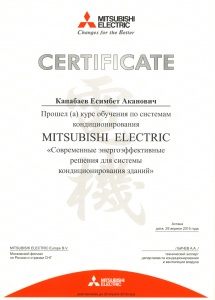 Сертификат 5